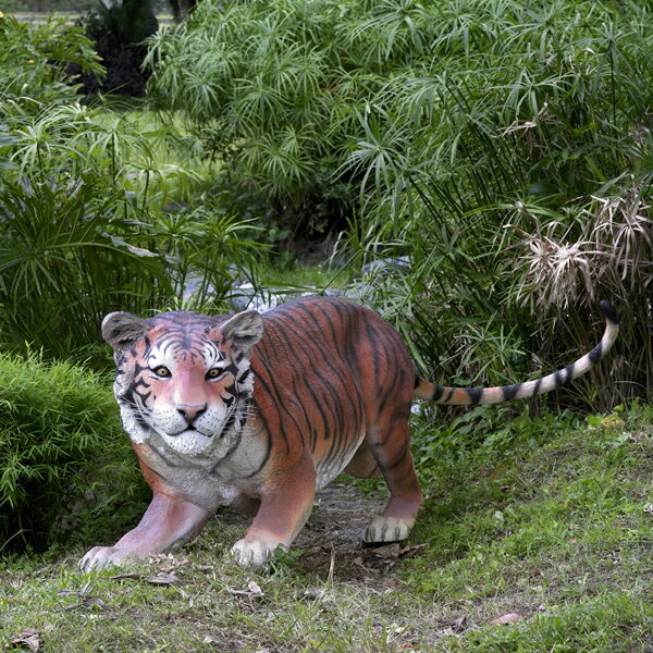 ڥ᡼ľƱԲġԲġԲġĩ٥󥬥륿 / Bengal Tiger