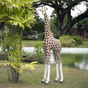 y[J[EsEsEԕiszqL / Giraffe