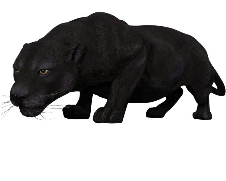 【メーカー直送・同梱不可・代引不可・返品不可】黒豹の跳躍 / Black Panther