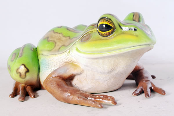 【メーカー直送・同梱不可・代引不可・返品不可】親キンスジアメガエル / Giant Green and Golden Bell Frog