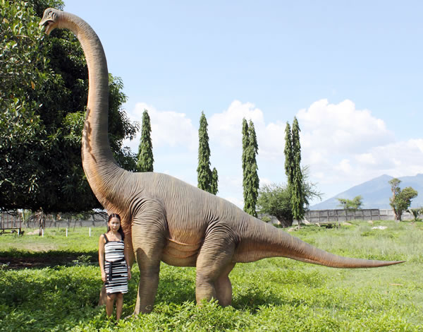 ڥ᡼ľƱԲġԲġԲġΩ֥饭륹 / Brachiosaurus