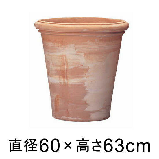 ȭ  緿 ٥Υå ȥݥå 60cm ڥ᡼ľƱԲġԲġԲġۡڥ꡼ݥåȼҡ Ŀؤ...