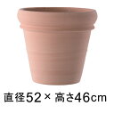 植木鉢 おしゃれ 大型 テラコッタ リムポット ホワイト 52cm 【メーカー直送・同梱不可・代引不可・返品不可】【グリーンポット社】