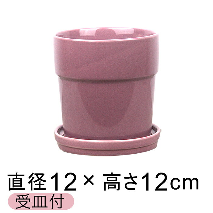 Rakuten - 植木鉢 陶器鉢 シンプル リム 12cm 薄パープル系 〔受皿付〕 釉薬 陶器 鉢 パステルカラー おしゃれ