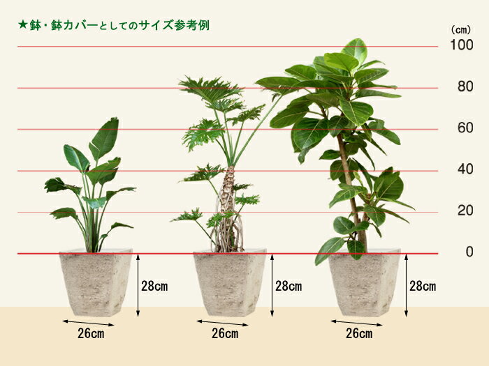 植木鉢 おしゃれ 軽い 鉢カバー 軽量 最大87 Offクーポン 合成樹脂製ポット 10リットル スクエア 角型 26cm ライトグレー系