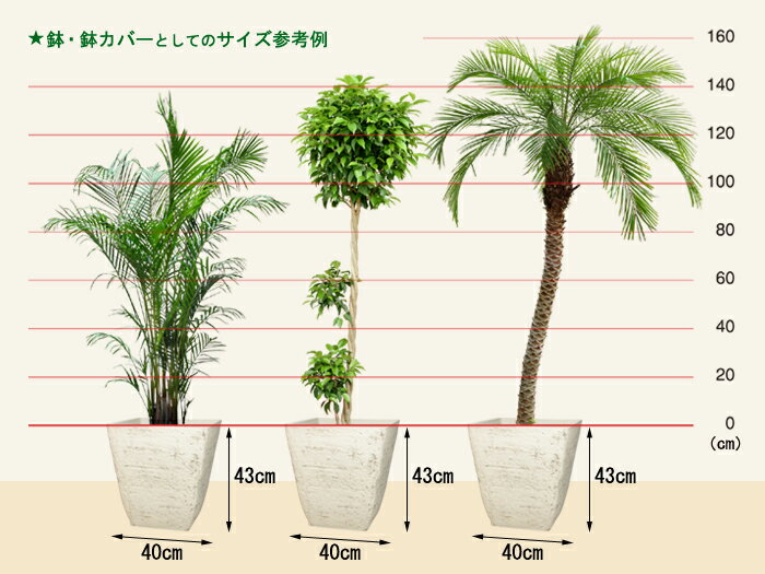 植木鉢 おしゃれ 送料無料キャンペーン 軽い 鉢カバー すいれん鉢 軽量 合成樹脂製ポット このサイズは鉢底穴の有無の選択可能です 角型 40cm スクエア アイボリー系 43リットル 穴無は睡蓮鉢として使用可 植木鉢 おしゃれ 送料無料キャンペーン 軽い 鉢カバー すいれん鉢 軽量 合成樹脂製ポット このサイズは鉢底穴の有無の選択可能です 角型 40cm スクエア アイボリー系 43リットル 穴無は睡蓮鉢として使用可