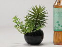 造花 観葉植物 フェイク グリーン 〔2854〕 H17cm 〔陶器鉢ブラック〕