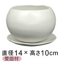 陶器鉢 植木鉢 おしゃれ マリナ 白 L 14cm 受皿付 陶器