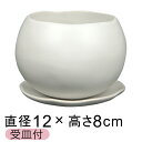 陶器鉢 植木鉢 おしゃれ マリナ 白 M 12cm 受皿付 陶器
