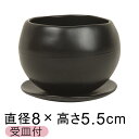 陶器鉢 植木鉢 おしゃれ マリナ 黒 SS 8cm 受皿付 陶器
