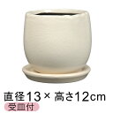 植木鉢 おしゃれ アンジェラ 白系 LL 13.5cm 受皿付