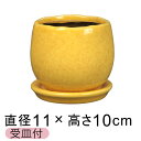 植木鉢 おしゃれ アンジェラ 黄系 L 11cm 受皿付