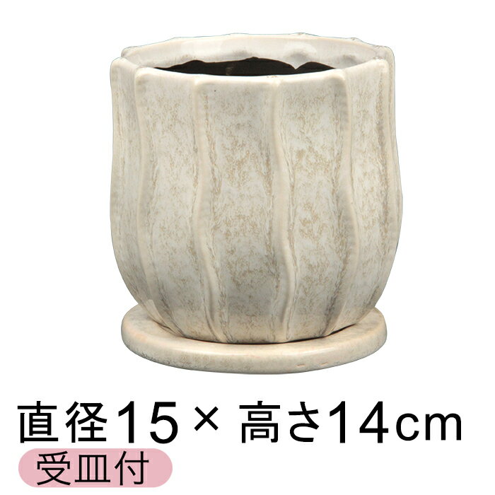 Rakuten - 植木鉢 おしゃれ サティ 白系 M 15cm 受皿付