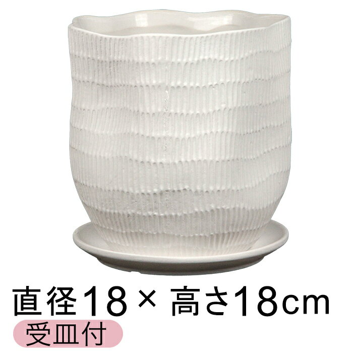 Rakuten - 植木鉢 おしゃれ ハピ 白系 LL 18cm 受皿付
