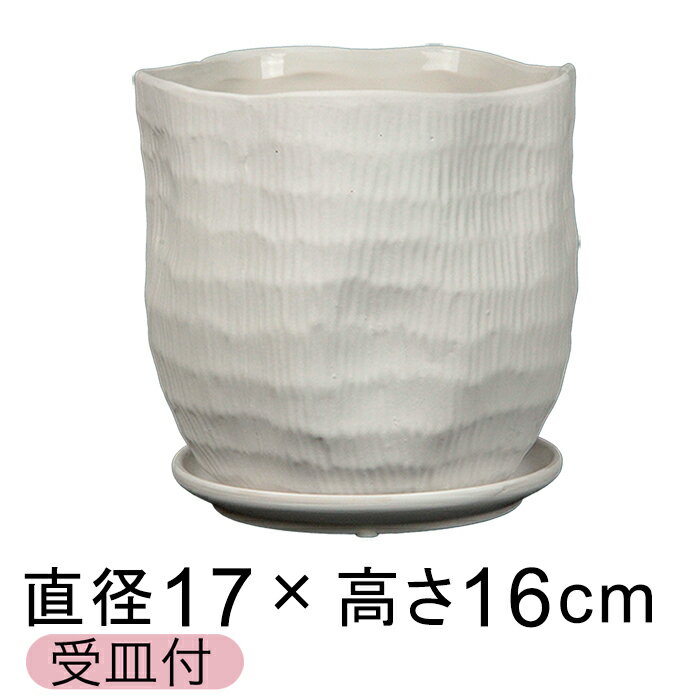Rakuten - 植木鉢 おしゃれ ハピ 白系 L 17cm 受皿付