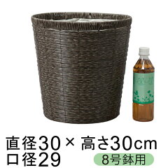 https://thumbnail.image.rakuten.co.jp/@0_mall/goopot/cabinet/nature/01-0888.jpg