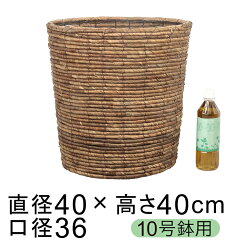 https://thumbnail.image.rakuten.co.jp/@0_mall/goopot/cabinet/nature/01-9981.jpg