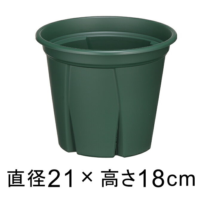 ȭ åȭ äĤ褷 7 21cm ꡼ 3åȥ ץ饹å ȭ  