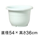 輪鉢 18号〔54cm〕ホワイト 36リットル 植木鉢 プラ鉢 室内 屋外 プラ鉢 軽い 大型