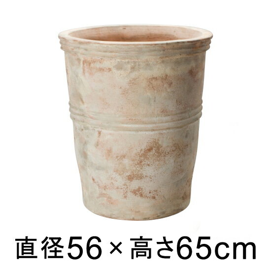 緿  ȭ ƥ饢ȥ ڥ 祳 56cm ڥ᡼ľԲġƱԲġԲġԲġۡڥץեåʥ ĿؤԲĢ