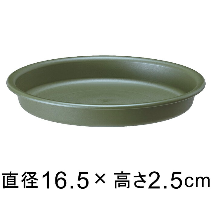 ڼۥץ졼 16.5cm ꡼ Ŭ礹ȭƥ 18cmľ¤13cmʲοȭ