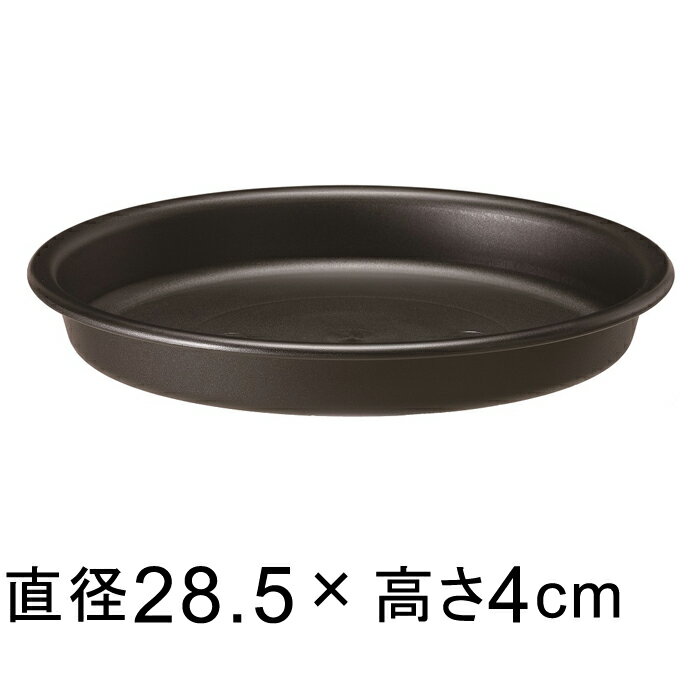 ڼۥץ졼 28cm ֥å Ŭ礹ȭƥ 30cmľ¤24cmʲοȭ