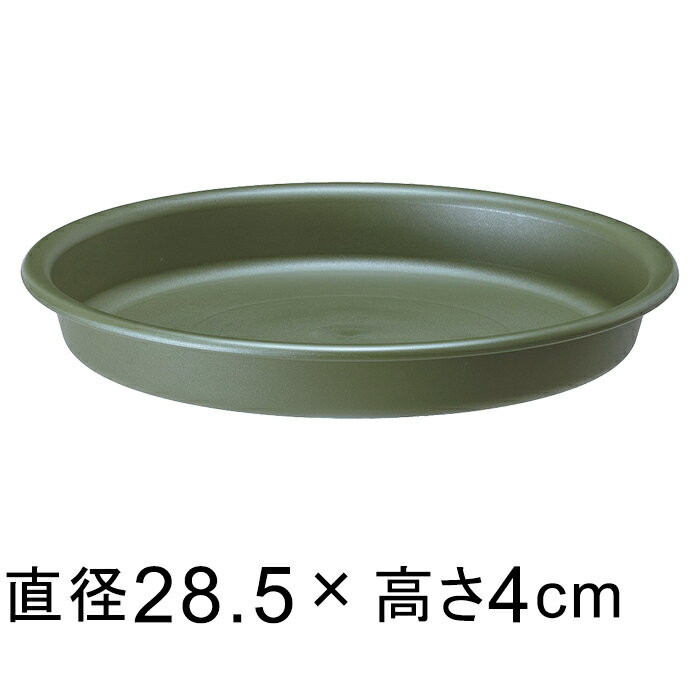 ڼۥץ졼 28cm ꡼ Ŭ礹ȭƥ 30cmľ¤24cmʲοȭ