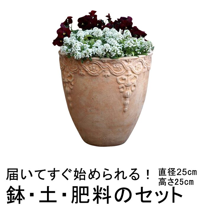 おしゃれ 植木鉢 土・肥料のセット 訳あり 模様入り 丸型HM白粉 素焼き鉢 テラコッタ 鉢 小 25cm 6リットルと培養土と鉢底石と鉢底ネットと肥料のセット