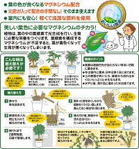 観葉植物の土2L