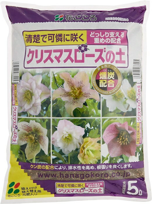ꥹޥڡ5L̥åȥ