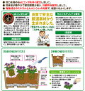 goopot:10000229のサンプル画像2
