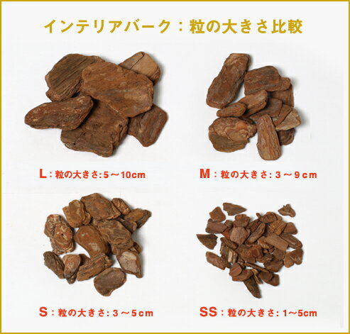 ����ƥꥢ�С�����Sγ��6L�̥�åȥ�� �ޥ���� �ڤ򱣤� ���� ���åɥ��å�