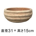 横じまボール 浅型 アンティーク 素焼き鉢 31cm 6リットル テラコッタ鉢 植木鉢 おしゃれ ショコラ テラコッタ 鉢