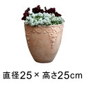 模様入り 丸深型 HM白粉 素焼き鉢 テラコッタ 鉢 おしゃれ 植木鉢 小 25cm 6リットル
