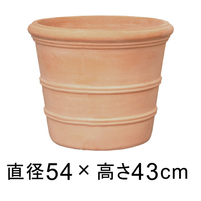 横ライン 丸リム型 素焼き鉢 テラコ