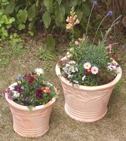 初心者でも簡単 北欧風ガーデニングの作り方 Diyのコツやおすすめの植物も 暮らし の
