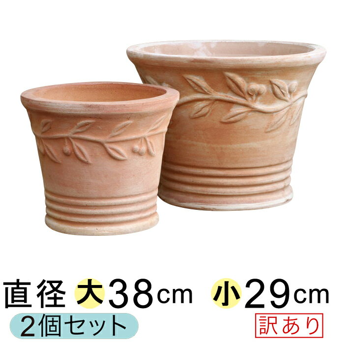 初心者でも意外と簡単 藤盆栽の育て方を解説 夏 冬の手入れが超重要 Kurashi No