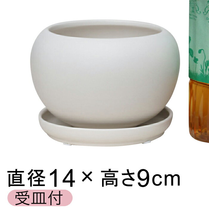 陶器鉢 CF ポッコリ 丸型 白 つや無 14cm 0.6リットル 受皿付 植木鉢 おしゃれ かわいい 室内