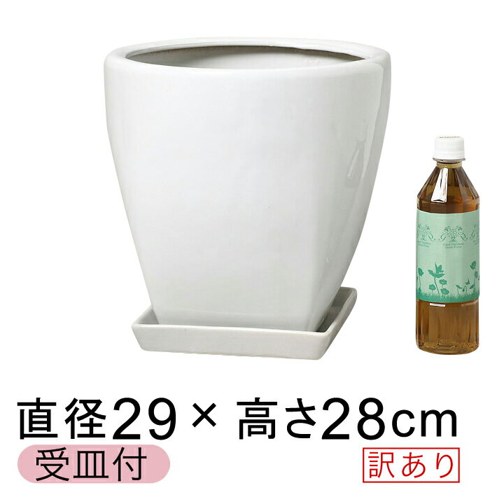 【当店通常価格の50%OFF】【数量限定】 訳あり ツルツル 上丸下角型 陶器鉢 白 つや有 M 29cm 11リットル 受皿付 植木鉢 7号鉢用 鉢カバー 【お一人様一個限り】