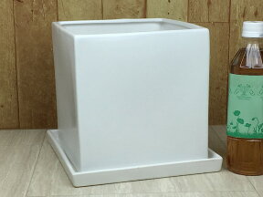陶器鉢 MP キューブ型 白 つや無 19cm 5.8リットル 受皿付 植木鉢 おしゃれ 室内