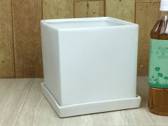 https://thumbnail.image.rakuten.co.jp/@0_mall/goopot/cabinet/turuturu-w/mp-200mw.jpg