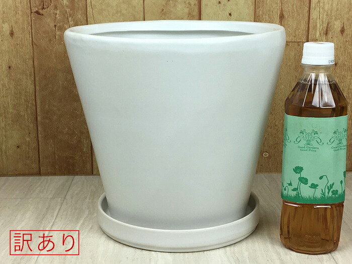 【訳あり】 陶器鉢 MP 植木鉢 丸型 白 つや無 25cm 6リットル 受皿付 おしゃれ 室内 [of20]