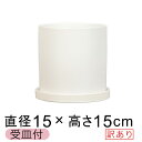 【訳あり】陶器鉢 寸胴 丸型 植木鉢 白 つや無 15cm 鉢カバー 受皿付 室内 屋内