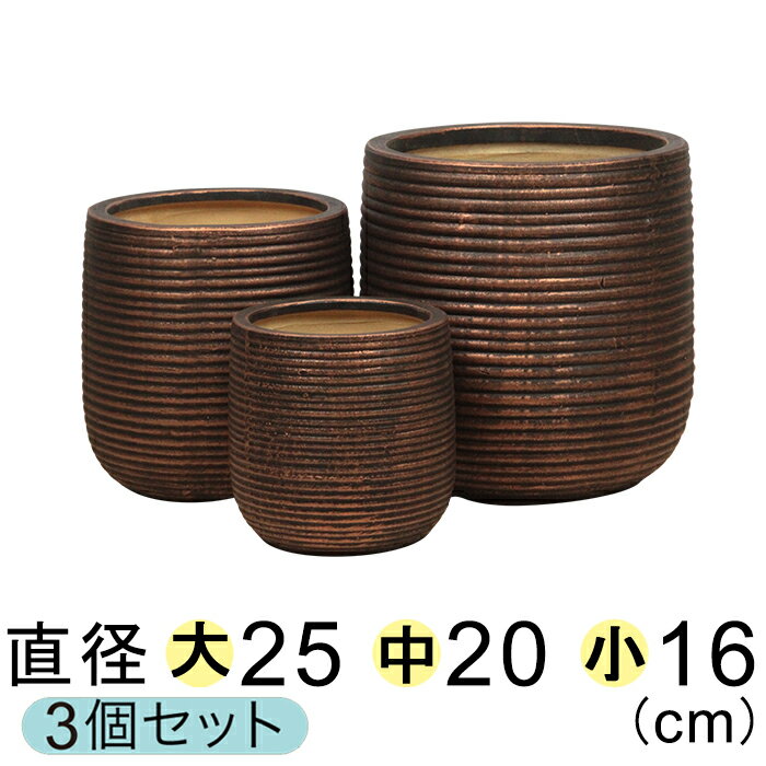 Top【選抜株】60038ゴールド　ジェード 綴化 24個　鉢無し/脱土 gp-annr2926.jpg