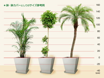 【訳あり】 陶器鉢 WY 角型 白 ホワイト つや無 L 39cm 36リットル 植木鉢 陶器 スクエア 四角 おしゃれ モダン シンプル 観葉植物 鉢 受皿別売 [of20]