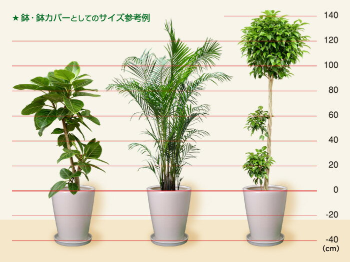 【訳あり】植木鉢 陶器 おしゃれ 陶器鉢 WY 丸深型 白 つや無 M 34cm 22リットル 受皿別売 鉢カバーとしても ガーデニング 鉢 プランター ガーデニング オシャレ シンプル 観葉植物 [of20]