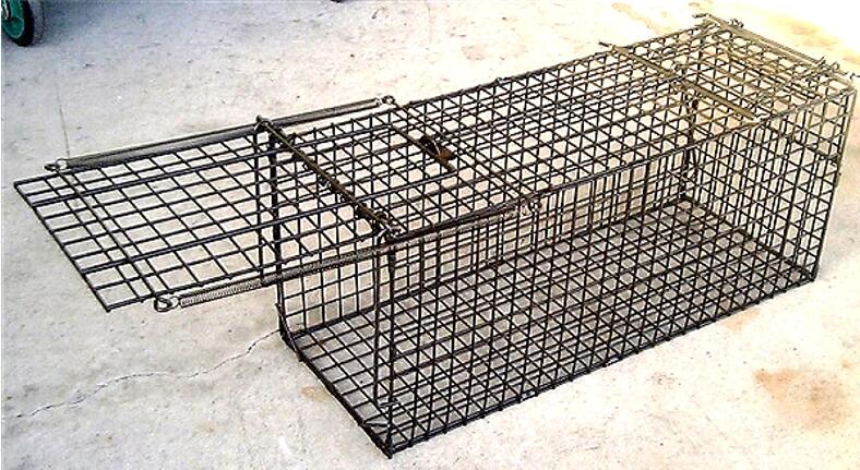 楽天市場】小動物捕獲器の通販 楽天市場】小動物捕獲器の通販