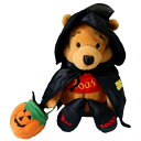 くまのプーさん 2000年 ハロウィン限定Winnie the Pooh Witch Pooh魔女仮装 ハロウィン プーアメリカ 直輸入ビーンバッグ 縫いぐるみ