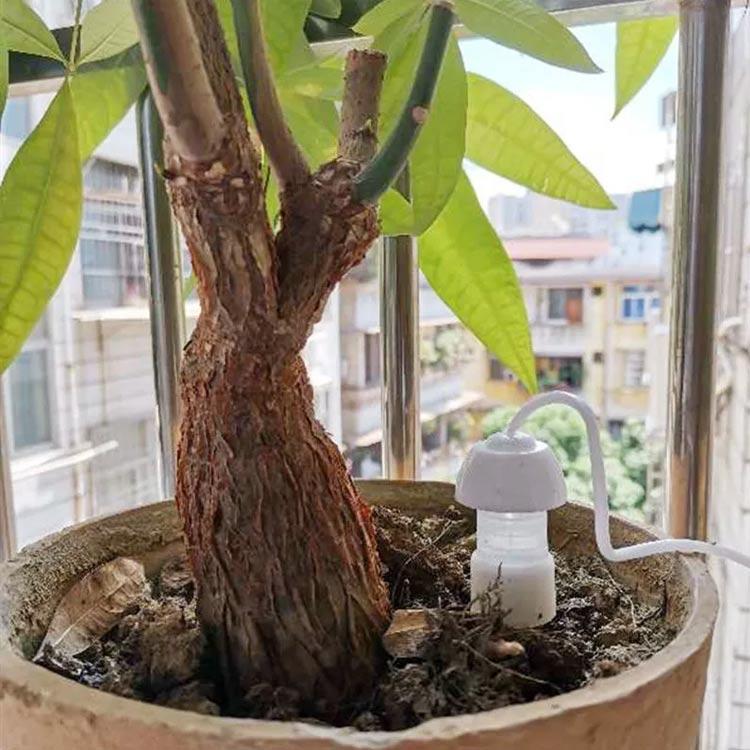 水やり器 小型 水やり当番 自動給水器 水遣り 毛細管現象 自動給水栓 水やりホース 留守の時も安心 鉢植え 植物 園芸 ガーデニング 留守用 水やり gori-10015982 ゴリー楽天市場店 サンプル画像2