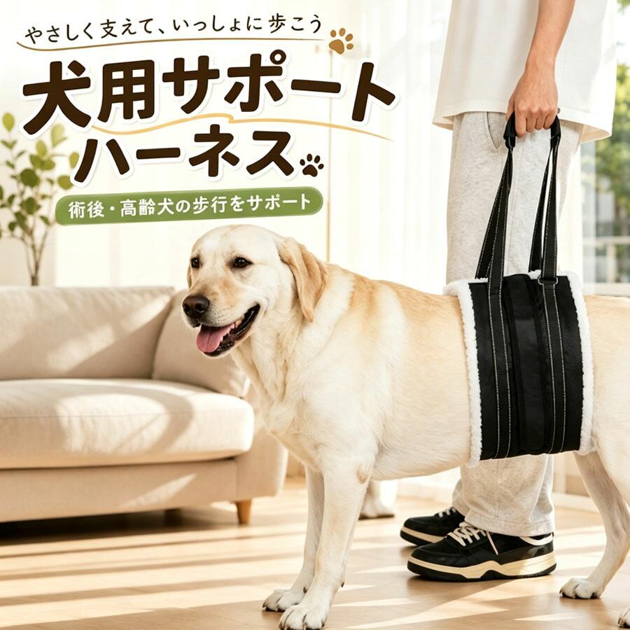 【注意事項】※製品更新により、予告なしで同じ商品がデザイン、色若干変わる場合がございますので、予めご了承下さい。※撮影の為、画質等の関係上、色などが実際の商品と若干違ってしまうこともあるかもしれませんがご理解のほどご購入ください。予めご了承ください。※サイズはスタッフによる平置き実測サイズの為、1~3cm誤差が生じる場合がございます。※更新のタイミングによっては実在庫に相違が出る場合がございます。※万が一商品に不具合がある場合は、無償交換・返金は可能です。マイナス評価する前にご遠慮なく当店と連絡してください。関連キーワード(商品の説明ではありません)：Yibao用品 犬介護用品 犬用介護ハーネス 寝たきり 犬 ペット 介護用品 補助 散歩 移動 歩行 お出かけ 運動 チワワ プードル 胴体 簡易 おしっこ メッシュ 負担が少ない 後肢 前肢 軽量ハーネス 犬 介護 歩行補助ハーネス ペット用 ハーネス 介護用老犬 犬の後ろ足用 サポート用品 犬介護用品 犬用介護ハーネス 寝たきり 犬 ペット 介護用品 補助 散歩 移動 歩行 お出かけ 運動 チワワ プードル 胴体 簡易 おしっこ メッシュ 負担が少ない 後肢 前肢 軽量